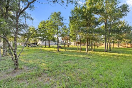 New construction Single-Family house 127 Tesoro Way, Del Valle, TX 78617 - photo 33 33