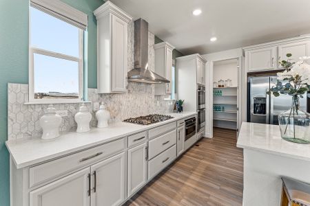New construction Single-Family house 16622 Dry Camp Drive, Parker, CO 80134 Steamboat | A Multi-Gen Home- photo 21 21