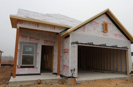 New construction Single-Family house 759 Papaya Dr, Buda, TX 78610 Harmony- photo 11 11