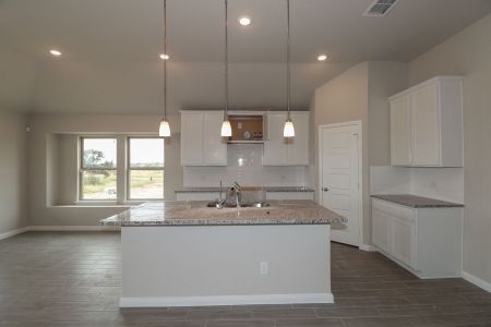 New construction Single-Family house 104 Cheyenne Drive, Floresville, TX 78114 Esparanza- photo 48 48