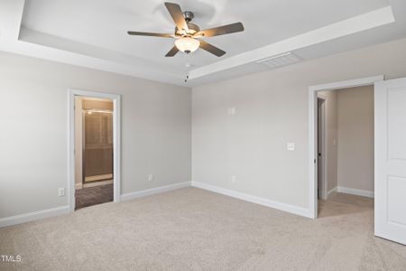 New construction Single-Family house 9008 Dupree Meadow, Unit 48, Angier, NC 27501 - photo 34 34