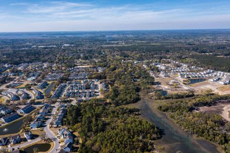 New construction Single-Family house 1702 Cultivation Lane Street, Unit 540, Mount Pleasant, SC 29466 - photo 94 94