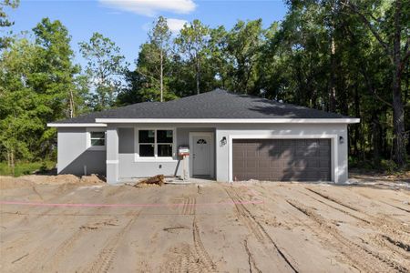 New construction Single-Family house 10461 N Adler Drive, Citrus Springs, FL 34434 - photo 0