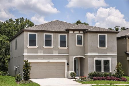 New construction Single-Family house 14719 Gallop Run Drive, Lithia, FL 33547 - photo 0