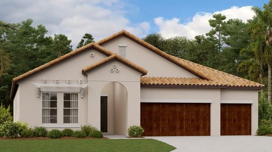 New construction Single-Family house 16910 Scuba Crest St, Wimauma, FL 33598 - photo 0