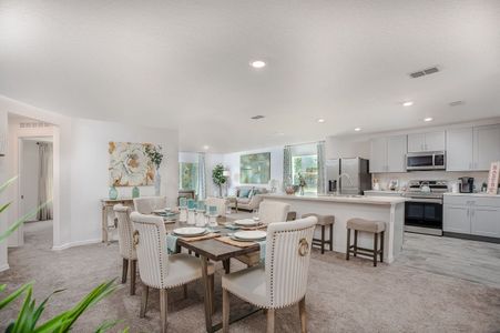 Silver Springs Shores by Focus Homes in Ocala - photo 17 17