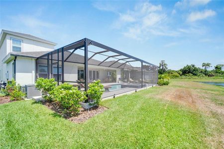 New construction Single-Family house 5995 Golden Nettle Drive, Apollo Beach, FL 33572 - photo 72 72