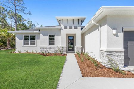 New construction Single-Family house 44 Utica Path, Palm Coast, FL 32164 - photo