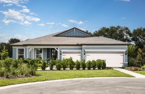 New construction Single-Family house 6858 Southwest 90th Loop, Ocala, FL 34476 - photo 0