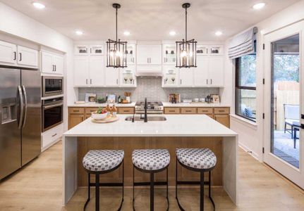 Alsatian Oaks by Highland Homes in Castroville - photo 8 8