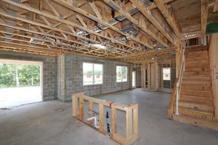 New construction Single-Family house 9611 Crescent Ray Drive, Wesley Chapel, FL 33545 Dali- photo 29 29