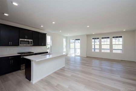 New construction Single-Family house 1805 Water Birch Way, Castle Rock, CO 80108 - photo 5 5