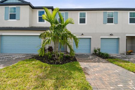 New construction Townhouse house 5435 Tripoli Drive, Palmetto, FL 34221 Alexander - Townhomes- photo 0