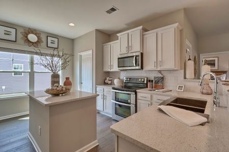 Rosinburg Glen by Great Southern Homes in Zebulon - photo 20 20