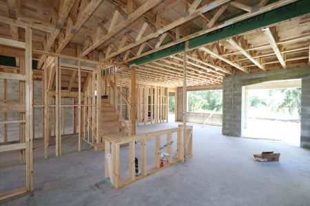 New construction Single-Family house 9635 Crescent Ray Drive, Wesley Chapel, FL 33545 Mira Lago- photo 46 46