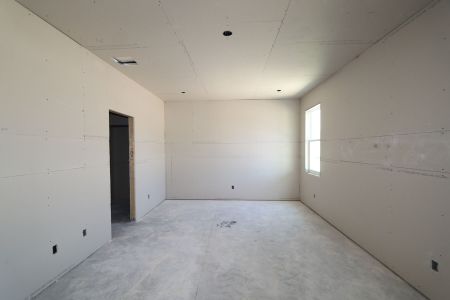 New construction Single-Family house 31843 Sapna Chime Drive, Wesley Chapel, FL 33545 Picasso- photo 54 54