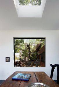Picturesque living/dining room window highlighting the magnificent 200 year old pecan tree.