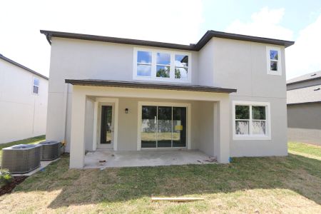 New construction Single-Family house 12114 Hilltop Farms Drive, Dade City, FL 33525 Alenza- photo 131 131