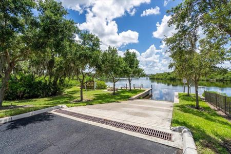 New construction Single-Family house 1529 Rio Vista Terrace, Parrish, FL 34219 - photo 17 17