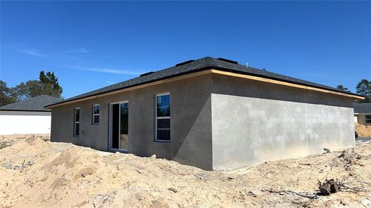New construction Single-Family house 3918 Sw 161St Loop, Ocala, FL 34473 - photo 19 19