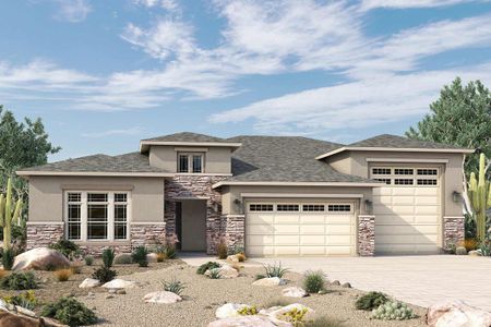 Canyon Views – 80’ Paradise Series by David Weekley Homes in Litchfield Park - photo 5 5