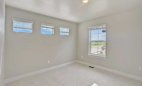 New construction Single-Family house 5211 Rendezvous Pkwy, Timnath, CO 80547 Meadow Series - Aspen- photo 10 10