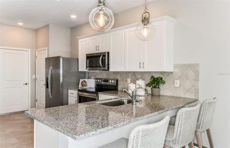 New construction Townhouse house 31361 AMBERVIEW BEND, Wesley Chapel, FL 33545 - photo