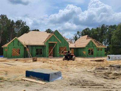 New construction Single-Family house 10961 Sw 32Nd Road, Gainesville, FL 32608 - photo 3 3