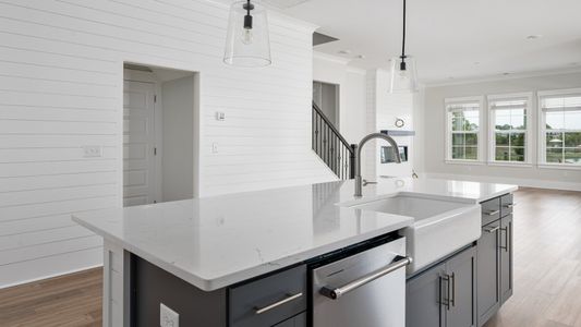 Fiddler Cove by DRB Homes in Mount Pleasant - photo 11 11