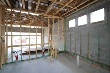 New construction Single-Family house 2530 Sunny Pebble Loop, Zephyrhills, FL 33540 Salinas- photo 25 25