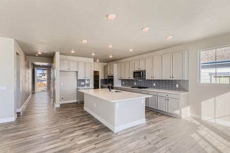 New construction Single-Family house 7338 S. White Crow Way, Aurora, CO 80016 Aster- photo 10 10