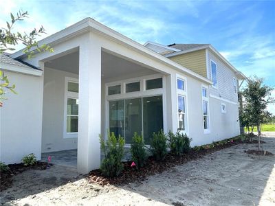 New construction Single-Family house 28801 Hillcrest Valley Boulevard, Wesley Chapel, FL 33543 - photo 8 8