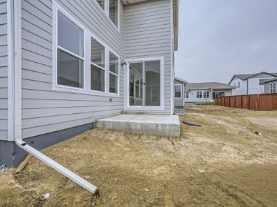 New construction Single-Family house 2075 Dusk Court, Windsor, CO 80550 Plan C405- photo 29 29