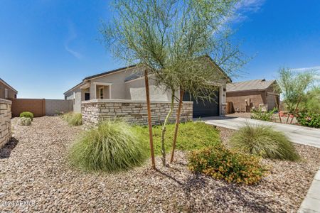 New construction Single-Family house 36986 N Sidewinder Drive, San Tan Valley, AZ 85140 - photo 3 3