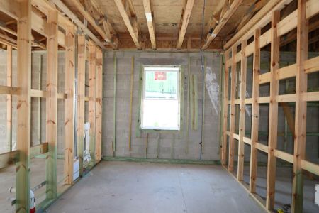 New construction Single-Family house 2885 Misty Marble Drive, Zephyrhills, FL 33540 Herrera- photo 28 28