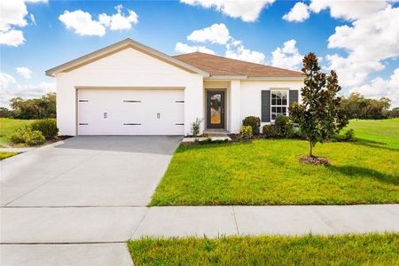 New construction Single-Family house 1546 Finnigan Circle, Haines City, FL 33844 Palm- photo 0 0