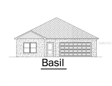 New construction Single-Family house 11352 Sneeze Road, Brooksville, FL 34614 - photo 0