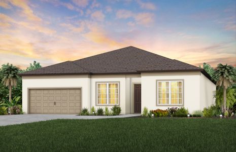 New construction Single-Family house Easley, 12047 Orchid Ash Street, Riverview, FL 33579 - photo