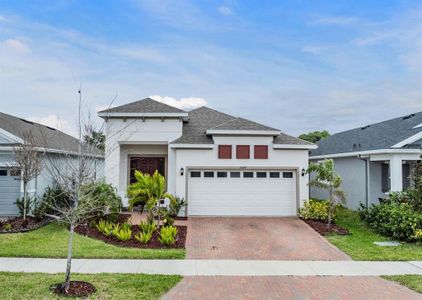New construction Single-Family house 5547 Del Coronado Drive, Apollo Beach, FL 33572 - photo 0 0