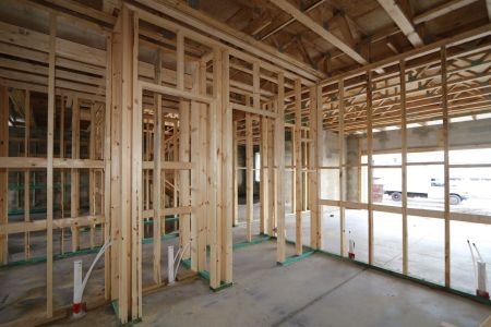 New construction Single-Family house 33251 Amling Pecan Branch, Wesley Chapel, FL 33545 Santa Monica- photo 19 19