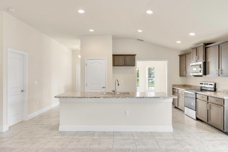 New construction Single-Family house Northwest 162nd Drive, Alachua, FL 32615 - photo 12