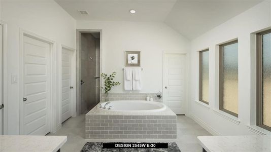 New construction Single-Family house 2532 Carretera Drive, Leander, TX 78641 Design 2545W- photo 41 41