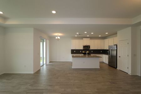 New construction Single-Family house 837 Hillshire Place, Spring Hill, FL 34609 Marque- photo 27 27