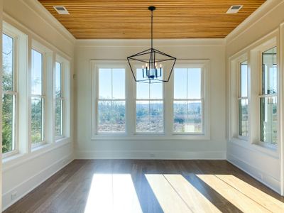 New construction Single-Family house 3853 Delinger Drive, Mount Pleasant, SC 29466 - photo 20 20