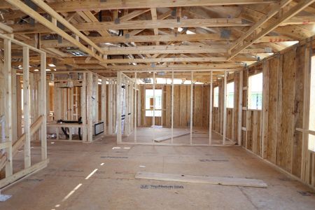 New construction Single-Family house 10603 New Morning Drive, Tampa, FL 33647 Santina II- photo 16 16