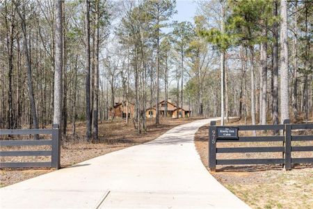 New construction Single-Family house 975 Blalock Lakes Drive, Newnan, GA 30263 - photo 3 3