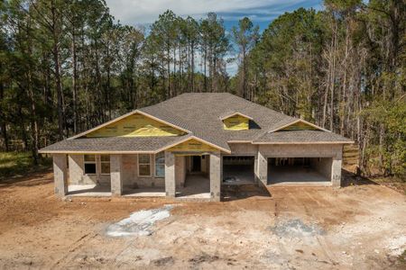 New construction Single-Family house 4462 Majestic Hills Loop, Brooksville, FL 34601 - photo 10 10