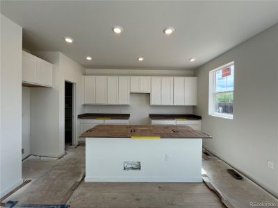 New construction Single-Family house 3955 N Picadilly Court, Aurora, CO 80019 Elbert- photo 11 11
