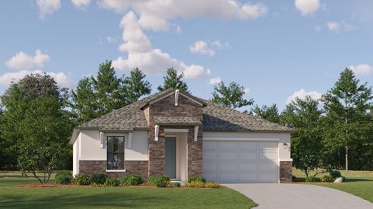 New construction Single-Family house Brindley, 18238 Pearl View Place, Lutz, FL 33548 - photo