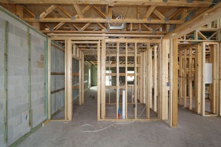New construction Single-Family house 12383 Hilltop Farms Drive, Dade City, FL 33525 Malibu- photo 37 37